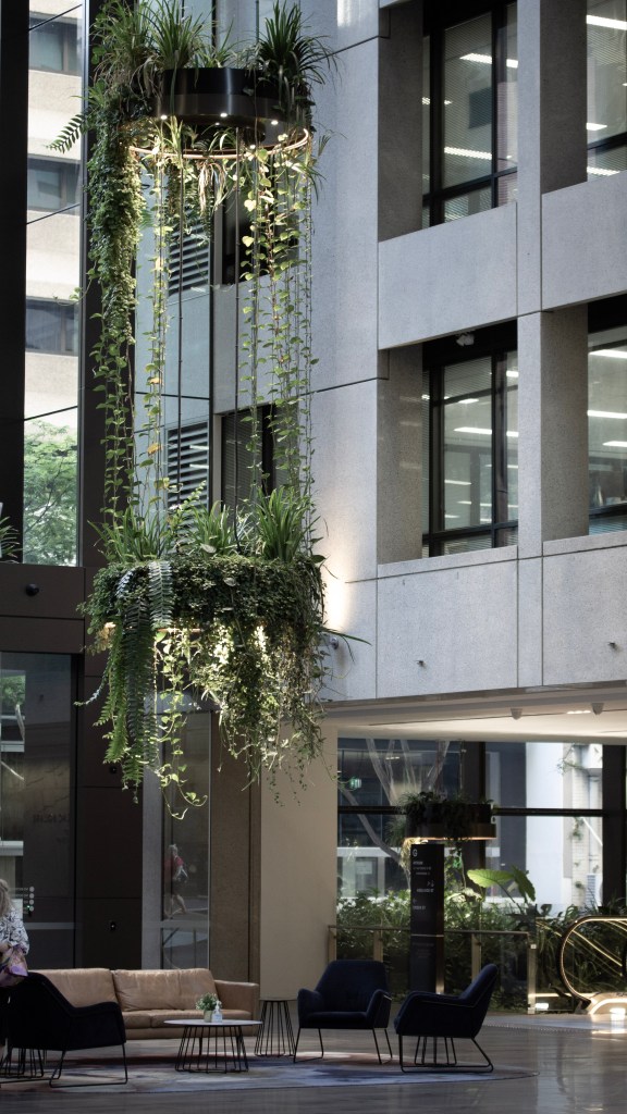 Brisbane commercial law